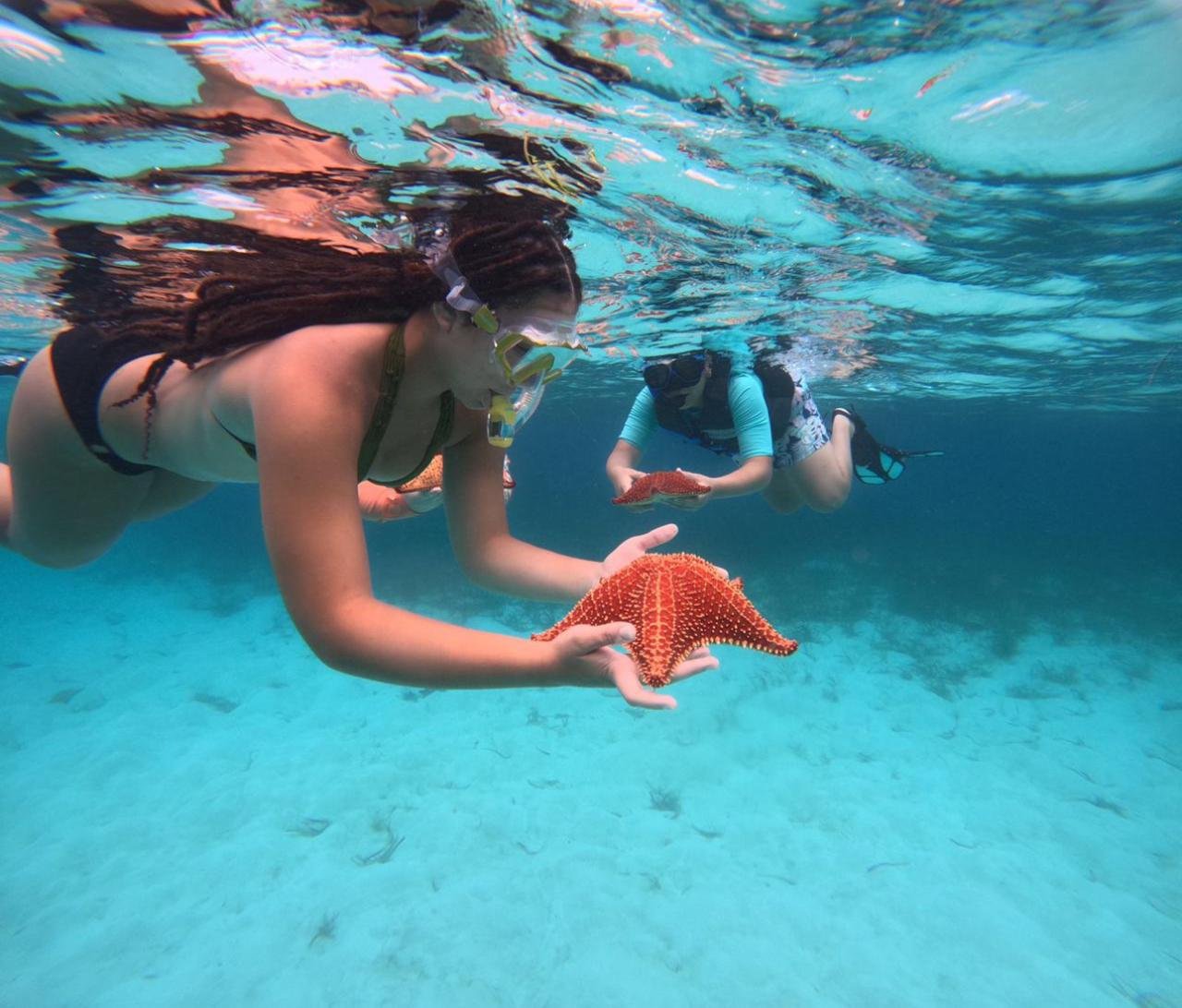 Paquete 3 Stops Snorkeling West Side Marine Discovery
